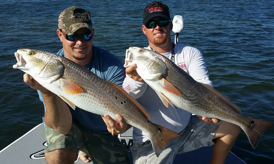 Tampa Bay Inshore Fishing Clearwater Fish Tampa Flats